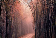 [图]塔图姆28+5凯尔特人力克热火 提前锁定季后赛名额.