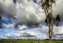 [图]塔图姆28+5凯尔特人力克热火 提前锁定季后赛名额.