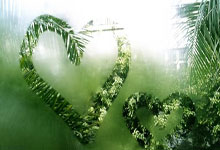 国羽4冠2亚收官!翁泓阳横扫登顶,陈雨菲复出摘金,女双混双惊喜.