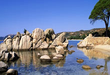 蜂鸟电竞:自由式滑雪——国际雪联世界杯(利维尼奥站):男子空中技巧赛况.